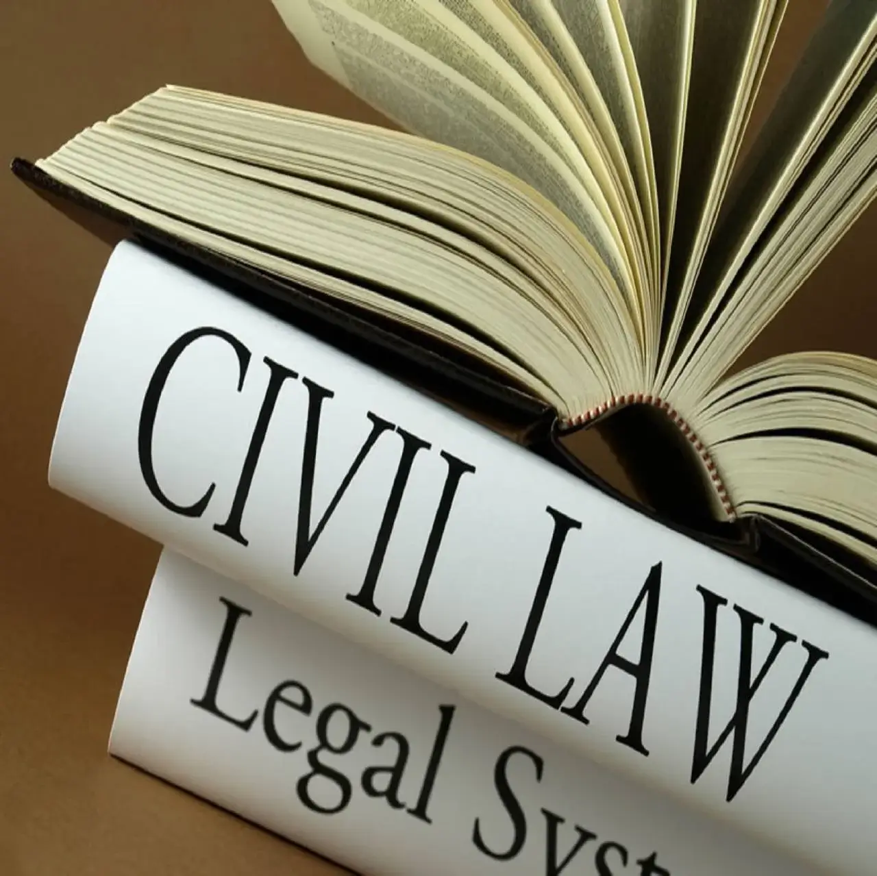 Recovery case or Civil recovery case
